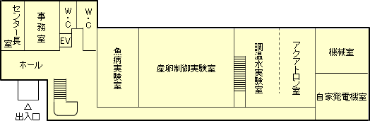 }F1K
