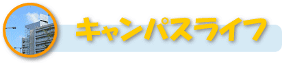 LpXCt