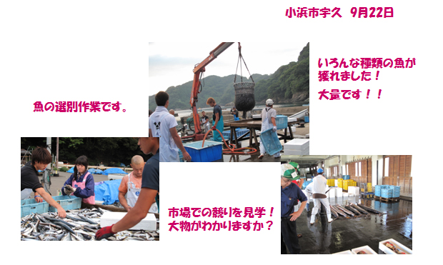 5. uԋƑ̌