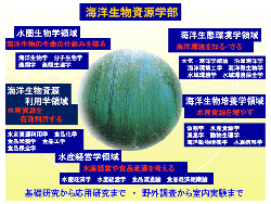 CmẘẅƊ֌WJuȖ