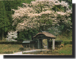 photo3